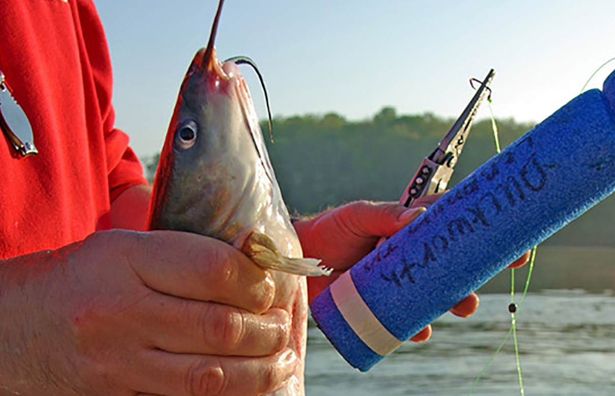 6 Must-Know DIY Fishing Projects - This Is Fishing